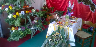 Sagra del carciofo, tradizione e produzione di un agro