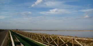 Giornata mondiale Zone Umide, 46 anni fa firma Ramsar
