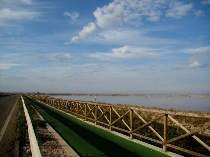 Zona Umida