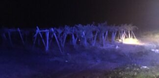 Auto finisce fuori strada sulla SP6 e si ribalta, 5 feriti