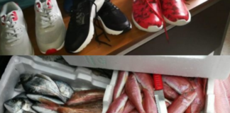 Blitz della Polizia Locale, sequestrata merce al mercato