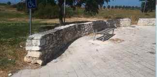 Parco Baden Powell e Via Puzzacchio: in arrivo 125 nuovi alberi