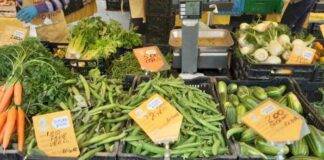 Frutta e verdura: aumentano i prezzi in Puglia, è colpa del crollo dei raccolti