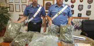 Trasportava in auto oltre 5 chili di marijuana: arrestato 21enne a Trinitapoli