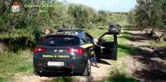 False assunzioni in agricoltura, 21 misure cautelari: braccianti reclutati anche a Trinitapoli