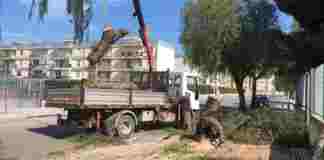 Alberi spezzati in via Nenni, al lavoro il pronto intervento