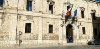 Campagna olearia 2023, in Prefettura un comitato per la sicurezza nelle zone agricole