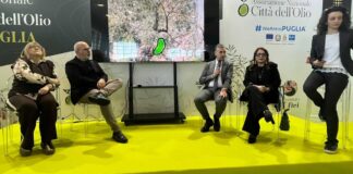 Evolio Expo, a Bari successo per l’olio extravergine di oliva: Trinitapoli presente