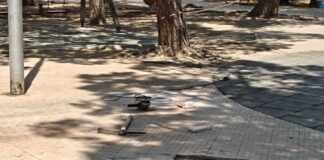 Al via i lavori di riqualificazione della Villa Pineta
