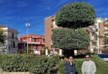 Trinitapoli avvia la mappatura digitale ed il censimento del verde pubblico