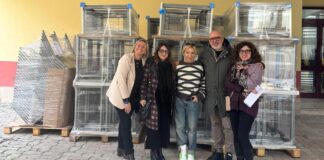 Nuovi banchi nelle scuole: consegnati 105 arredi per migliorare la didattica